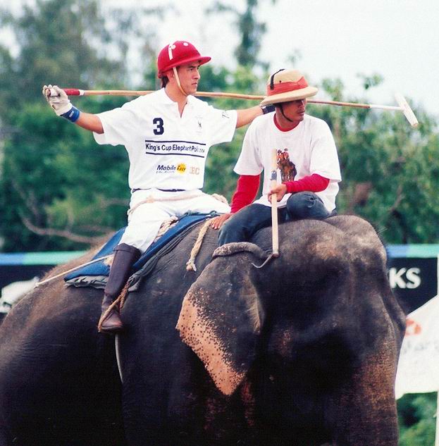 Khun Aktanai - Captain of Thailand Elephant Polo Team.