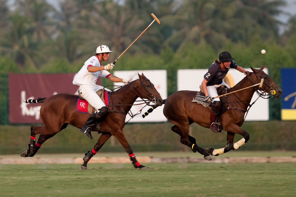 USPA Polo Horse Player Sport